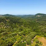 Alexis & Loula *