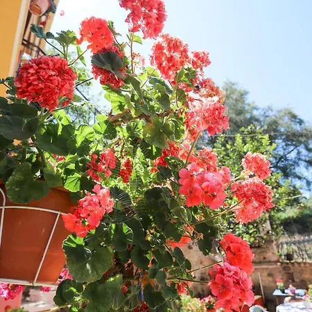 דירה Alexis & Loula Arkadades