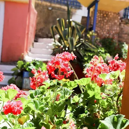 Alexis & Loula דירה *