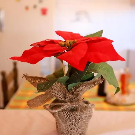 דירה Alexis & Loula Arkadades