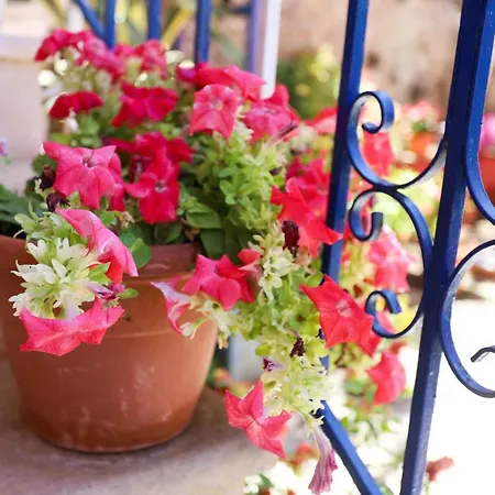 Alexis & Loula דירה