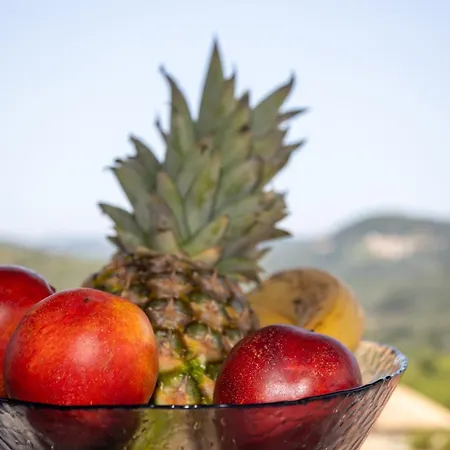 Alexis & Loula דירה